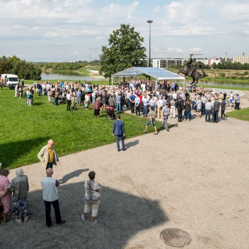 V. Ušackas kandidatuos į prezidento postą  © Vilmanto Raupelio nuotr.