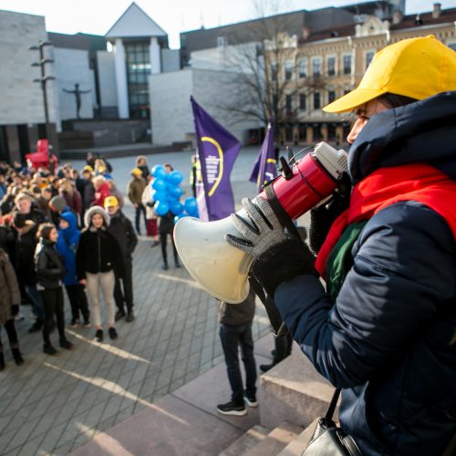 S.Dariaus ir S.Girėno gimnazijos šimtmečio eisena  © Vilmanto Raupelio nuotr.