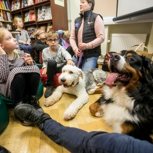 Bibliotekoje - skaitymai su šunimi  © Vilmanto Raupelio nuotr.