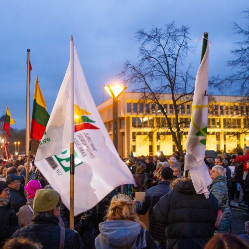 Mitingas prie Seimo dėl vaikų paėmimo iš šeimų  © M. Morkevičiaus / ELTOS, I. Gelūno / BFL nuotr.