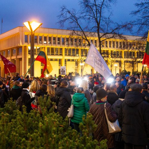 Mitingas prie Seimo dėl vaikų paėmimo iš šeimų  © M. Morkevičiaus / ELTOS, I. Gelūno / BFL nuotr.