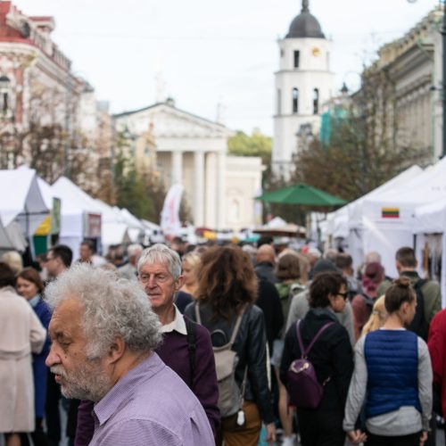 Tautų mugė sostinėje  © P. Peleckio / Fotobanko nuotr.