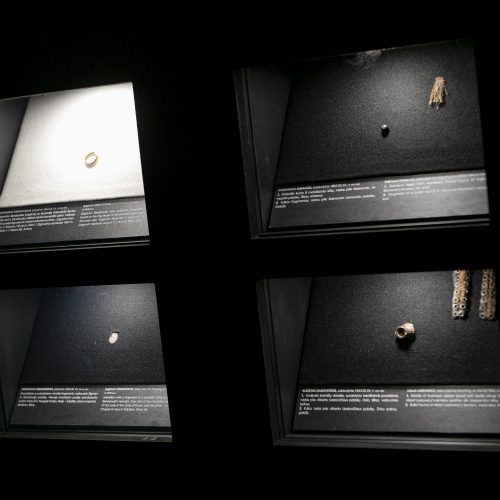 Parodos „Pažadinti: Gedimino kalne rastų sukilėlių istorija“ pristatymas  © P. Peleckio / Fotobanko nuotr.