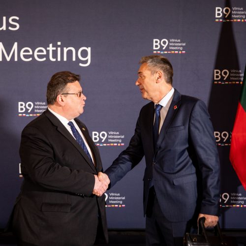 „Bukarešto devintuko“ užsienio reikalų ministrų susitikimas  © I. Gelūno / Fotobanko nuotr.