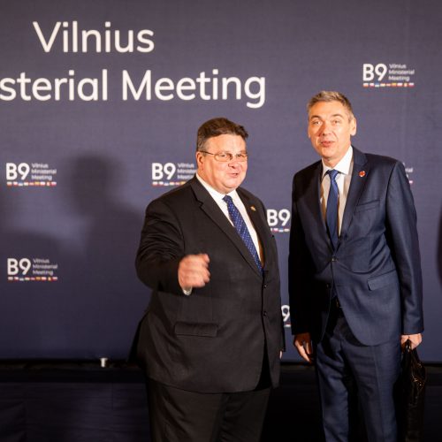 „Bukarešto devintuko“ užsienio reikalų ministrų susitikimas  © I. Gelūno / Fotobanko nuotr.