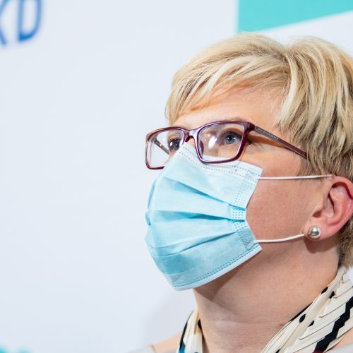 I. Šimonytės ir G. Landsbergio spaudos konferencija  © I. Gelūno / Fotobanko nuotr.