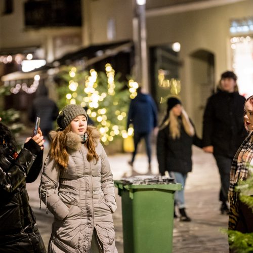 Žingsnis link Kalėdų: įžiebta žvaigždėmis puošta Kauno eglutė!   © Regimanto Zakšensko, Justinos Lasauskaitės, Kauno miesto savivaldybės nuotr.