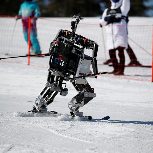 Robotų slidinėjimo lenktynės  © Scanpix nuotr.