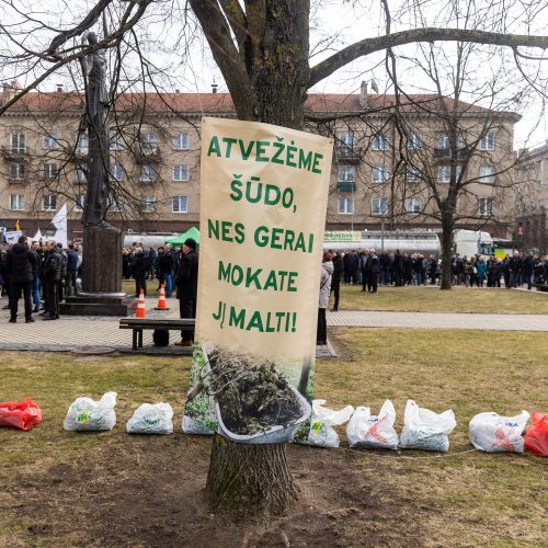 Lietuvos pieno gamintojų mitingas prie Seimo  © Ž. Gedvilos / BNS nuotr.