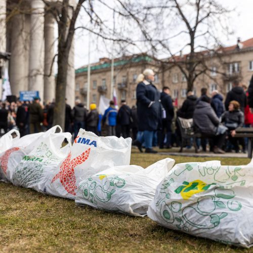 Lietuvos pieno gamintojų mitingas prie Seimo  © Ž. Gedvilos / BNS nuotr.