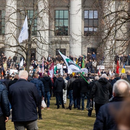 Lietuvos pieno gamintojų mitingas prie Seimo  © Ž. Gedvilos / BNS nuotr.