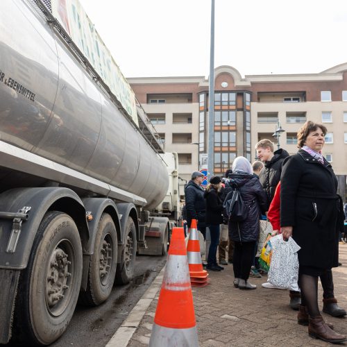 Lietuvos pieno gamintojų mitingas prie Seimo  © Ž. Gedvilos / BNS nuotr.