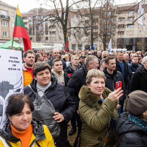 Lietuvos pieno gamintojų mitingas prie Seimo  © Ž. Gedvilos / BNS nuotr.