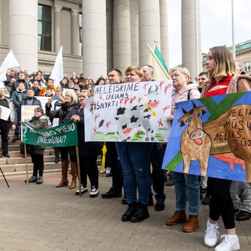 Lietuvos pieno gamintojų mitingas prie Seimo  © Ž. Gedvilos / BNS nuotr.