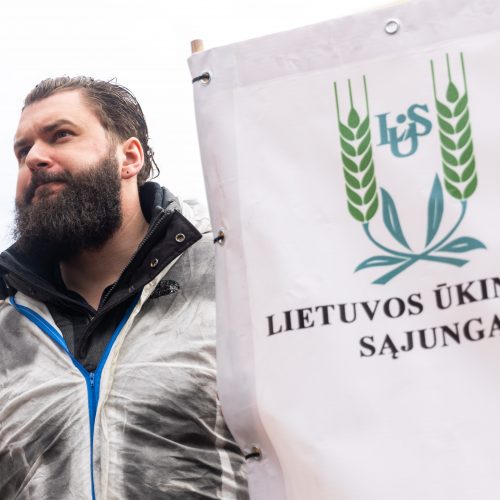 Lietuvos pieno gamintojų mitingas prie Seimo  © Ž. Gedvilos / BNS nuotr.