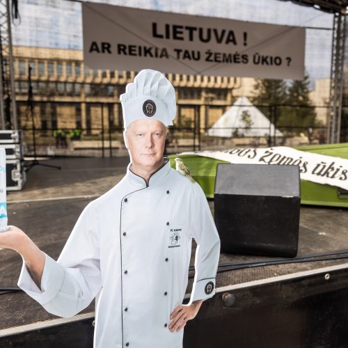 Lietuvos pieno gamintojų mitingas prie Seimo  © Ž. Gedvilos / BNS nuotr.