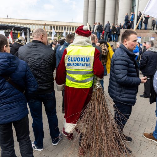 Lietuvos pieno gamintojų mitingas prie Seimo  © Ž. Gedvilos / BNS nuotr.