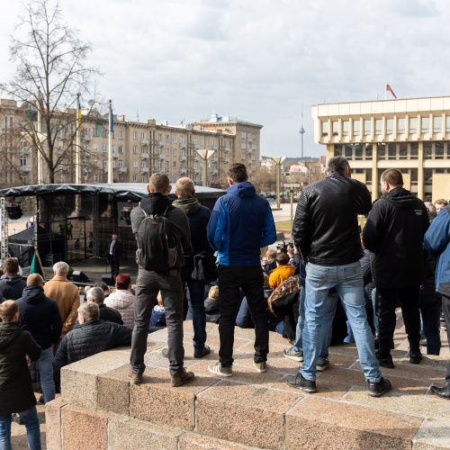 Lietuvos pieno gamintojų mitingas prie Seimo  © Ž. Gedvilos / BNS nuotr.