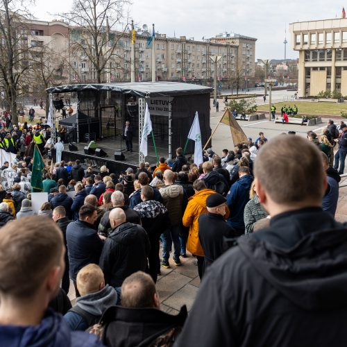 Lietuvos pieno gamintojų mitingas prie Seimo  © Ž. Gedvilos / BNS nuotr.