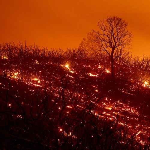 Kalifornijoje siaučia miškų gaisrai  © Scanpix nuotr.