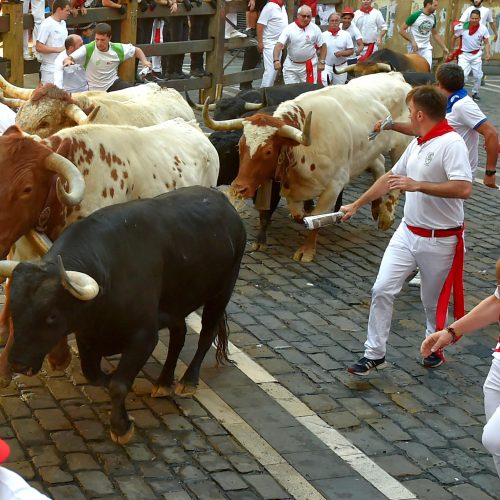 Bėgimas su buliais Pamplonoje  © Scanpix nuotr.