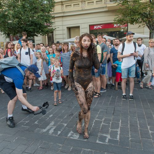 „Kultūros naktis“ sostinėje  © Butauto Barausko nuotr.