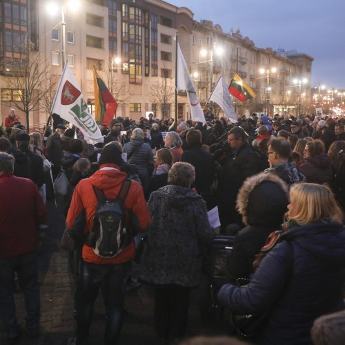 Mitingas prie Seimo dėl vaikų paėmimo iš šeimų  © M. Morkevičiaus / ELTOS, I. Gelūno / BFL nuotr.