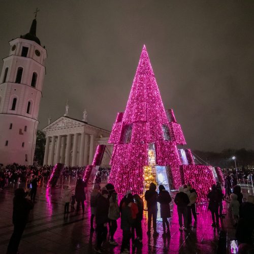 2020 m. Vilniaus Kalėdų eglės įžiebimas  © P. Peleckio / Fotobanko, S. Žiūros nuotr.