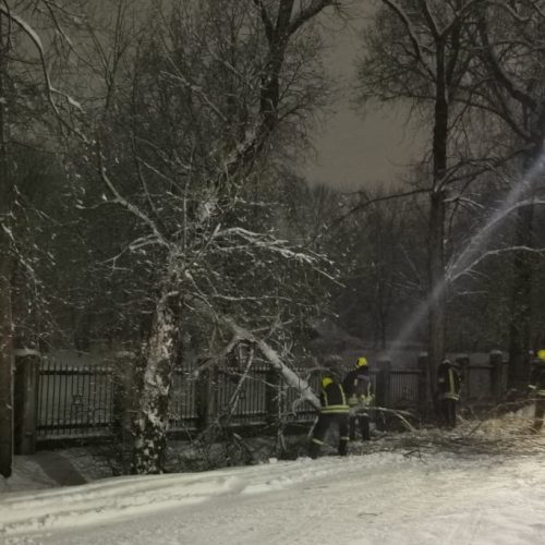 Kauniečiai iškvietė ugniagesius dėl nuvirtusių medžių  © V.Balvočienės nuotr.