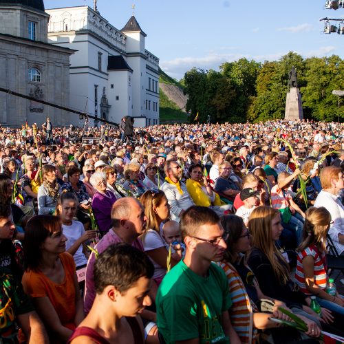 Koncertas „Vienybės banga“  © P.Peleckio/Fotobanko nuotr.