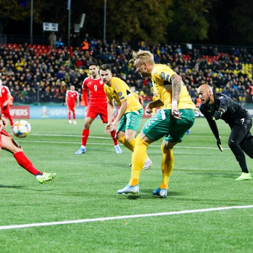 Europos futbolo čempionato atranka: Lietuva – Serbija  © I. Gelūno/Fotobanko nuotr.