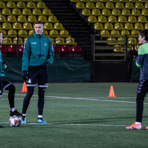 Lietuvos vyrų futbolo rinktinės treniruotė  © P.Peleckio/Fotobanko nuotr.