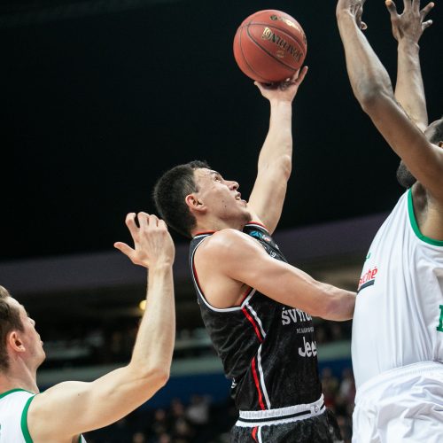 Europos taurė: Vilniaus „Rytas“ –  Limožo CSP 92:78  © P.Peleckio/Fotobanko nuotr.