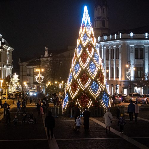 Sostinės Rotušės aikštėje įžiebta Kalėdų eglė  © G. Skaraitienės/Fotobanko nuotr.