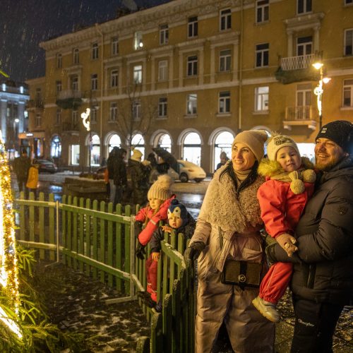 Vilniaus rotušėje įžiebta kalėdinė eglutė  © I. Gelūno/ 