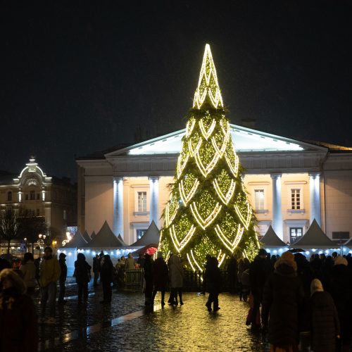 Vilniaus rotušėje įžiebta kalėdinė eglutė  © I. Gelūno/ 