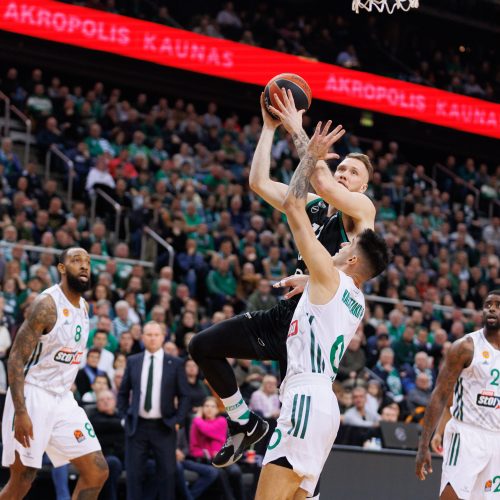 Eurolyga: Kauno „Žalgiris“ – Atėnų „Panathinaikos“ 67:81  © E. Ovčarenko / BNS nuotr.