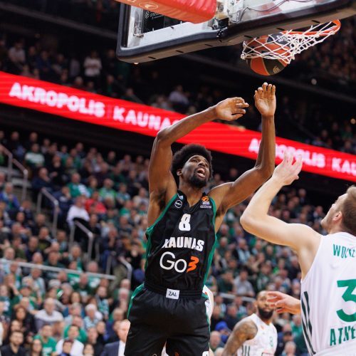 Eurolyga: Kauno „Žalgiris“ – Atėnų „Panathinaikos“ 67:81  © E. Ovčarenko / BNS nuotr.