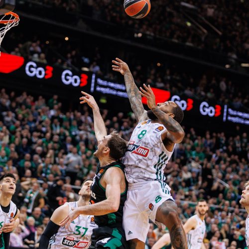 Eurolyga: Kauno „Žalgiris“ – Atėnų „Panathinaikos“ 67:81  © E. Ovčarenko / BNS nuotr.