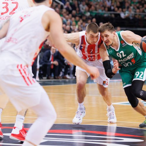 Eurolyga: Kauno „Žalgiris“ – Belgrado  „Crvena zvezda“ 71:66  © E. Ovčarenko / BNS nuotr.