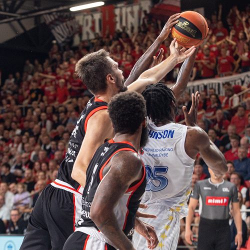 LKL: Vilniaus „Rytas“ – Pasvalio „Pieno žvaigždės“ 106:90  © P. Peleckio/BNS nuotr.