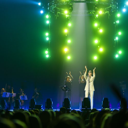 L. Adomaičio ir Šv. Jonų bažnyčios gospelo choro „GospelJonai“ koncertas  © I. Gelūno/BNS nuotr.