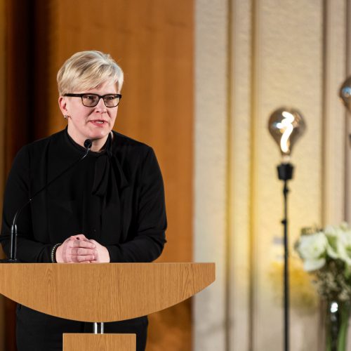 Vyriausybės kultūros ir meno premijų laureatų apdovanojimų ceremonija  © Ž.Gedvilos/BNS nuotr.