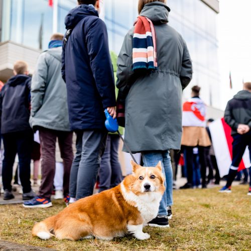 Baltarusijos nepriklausomybės dienos minėjimas Vilniuje  © L.Balandžio / BNS nuotr.