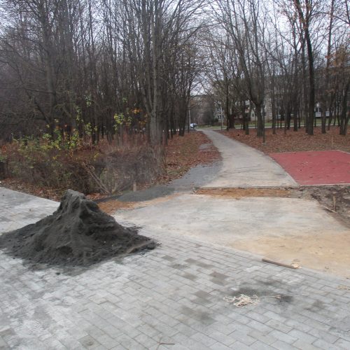 Draugystės parko rekonstrukcija  © Valdo Kasperavičiaus nuotr.