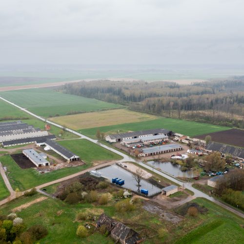 Baisogala ir jos apylinkės, kur planuojama statyti „Rheinmetall“ gamyklą  © L.Balandžio / BNS nuotr.