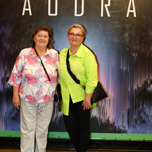 Į premjerą „Audra“ rinkosi garbūs svečiai  © Vyčio Šulinsko nuotr.