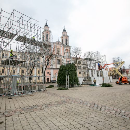 Kalėdinės eglutės ruošimo darbai  © Vilmanto Raupelio nuotr.