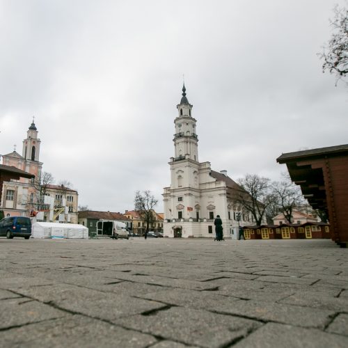 Kalėdinės eglutės ruošimo darbai  © Vilmanto Raupelio nuotr.