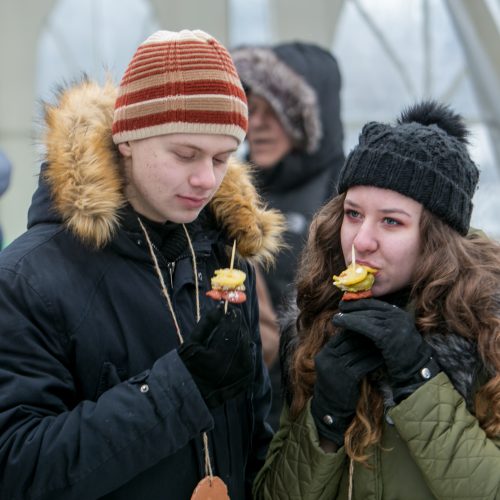 Šimtmečio Užgavėnės Rumšiškėse  © Vilmanto Raupelio nuotr.